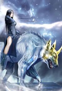 荷兰鞋之谜