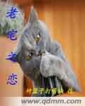 老宅之戀