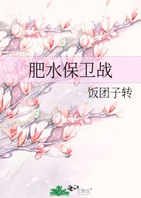 肥毅保衞戰