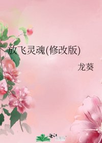 放飞灵魂(修改版)