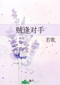 《賊逢對手》