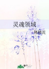 靈魂領域