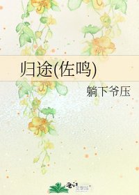 归途(佐鸣)