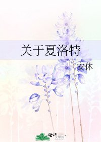 关于夏洛特