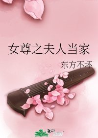 女尊之夫人当家