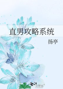 直男攻略系統