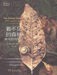 看不见的森林:林中自然笔记(出版书)